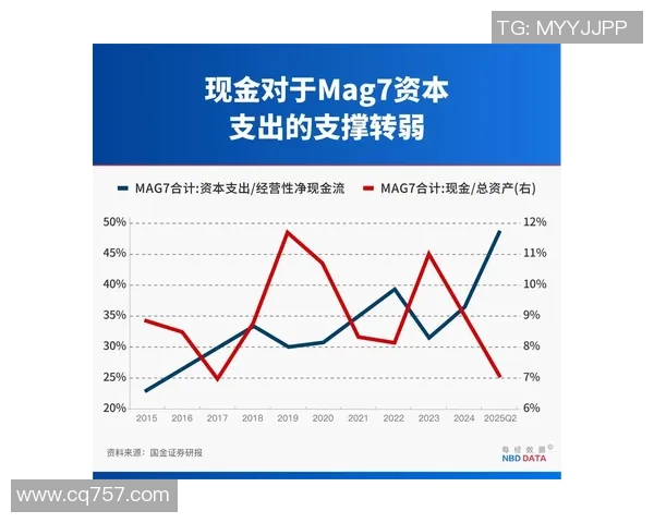 东道主巨额投资背后的债务风险与长期负担分析